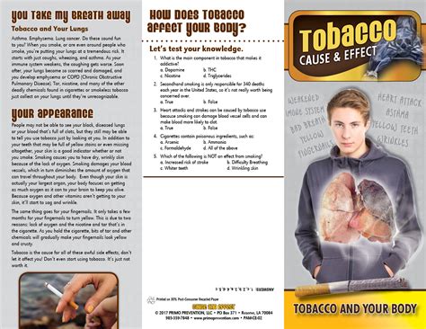 cause and effect tobacco and the body pamphlet primo prevention