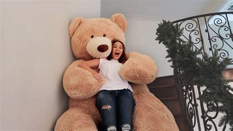 Giant Life Size Teddy Bear Slide Dont Try This At Home Teddy