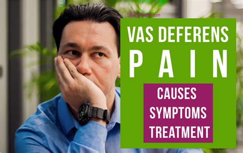 Vas Deferens Pain Causes Symptoms And Treatment Men S