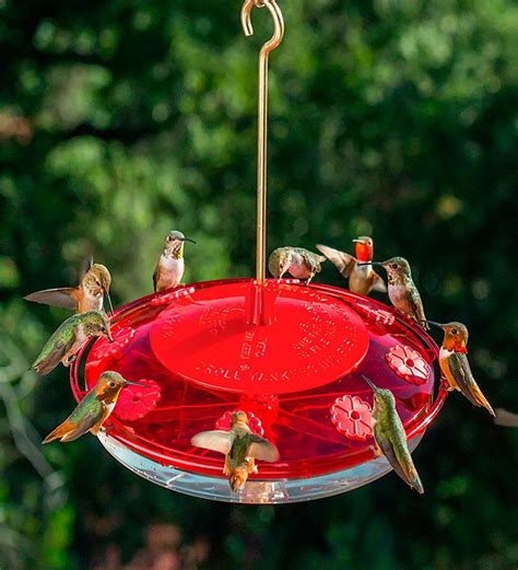 hummingbird feeder   feed ports plow hearth