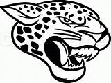 Jaguars Jacksonville Draw Drawing Step Drawings Gif Jaguar Logo Clipart 1110 Clip Sketches Color Choose Board sketch template