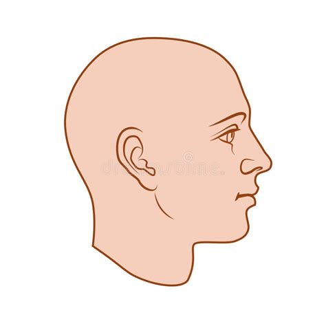 human head side view stock illustrations  human head side view