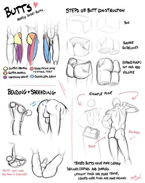 Tutorial Anatomy Muscle Fat And Bone 5 Butts By Rinayun Hentai