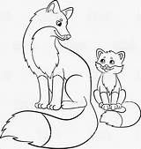 Fox Coloring Baby Pages Cute Drawing Mother Animals Printable Kitsune Red Fennec Cartoon Babies Narwhal Adults Book Realistic Color Kids sketch template