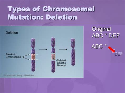 ppt mutations powerpoint presentation free download id 6358931