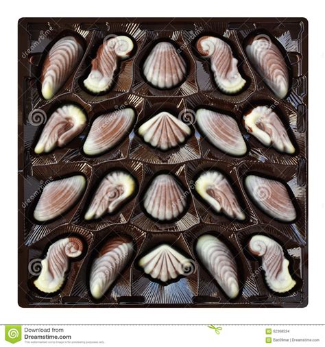chocoladesuikergoed zeeschelp en seahorse truffels artisanaal gebak  een doos stock foto