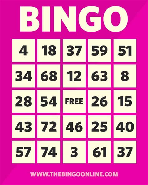 play bingo  complete guide  play bingo games