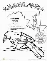 Maryland State Coloring sketch template
