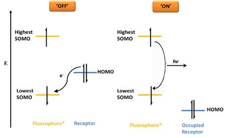 molecular orbital energy diagrams showing  relative energy    scientific