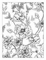 Coloring Flowers Floral Beautiful Pages Detailed Book Flower Colouring Designs Adults Issuu Adult Color Preview Sheets Choose Board Books sketch template