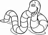 Terre Worm Beau Worms Earthworm Getdrawings sketch template