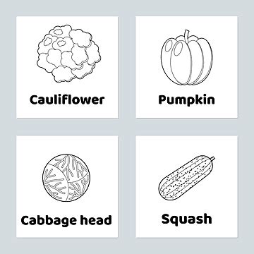 cartoon cauliflower coloring page outline sketch drawing vector