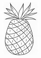 Coloring Pages Luau Pineapple Kids Color sketch template