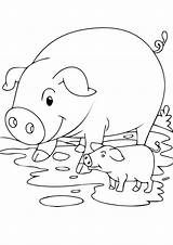 Cerdo Cochinillo Pig Piglet Imprimir Dibujosonline sketch template