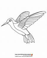 Colibri Pajaros Coloriages Colibrí Animaux Hellokids Hummingbird sketch template