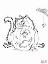Splat Scaredy Pumpkin Supercoloring Angsthase Chaudron Histogram Bi Spat Citrouille Kategorien sketch template