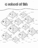 Nouns Noun Fishes Printouts sketch template