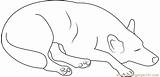 Coloring Sleeping Dog Pages Coloringpages101 Dogs Online sketch template