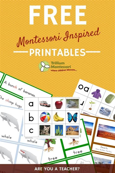 images  montessori  printables downloads