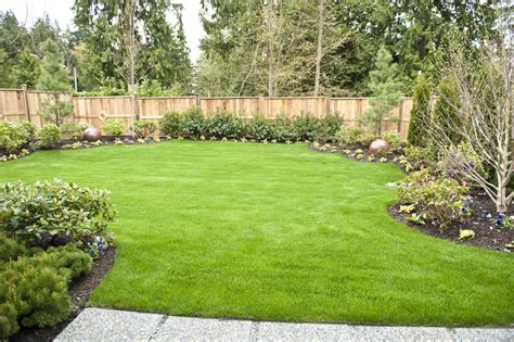 backyard landscaping tips metamorphosis landscape design
