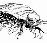 Isopod Designlooter Oddly sketch template