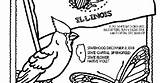 Illinois Coloring Getcolorings State sketch template