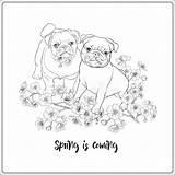 Pug sketch template