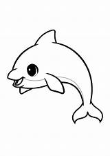 Dolphin Kawaii Dauphin Adorable Mignon Coloring1 Printable sketch template