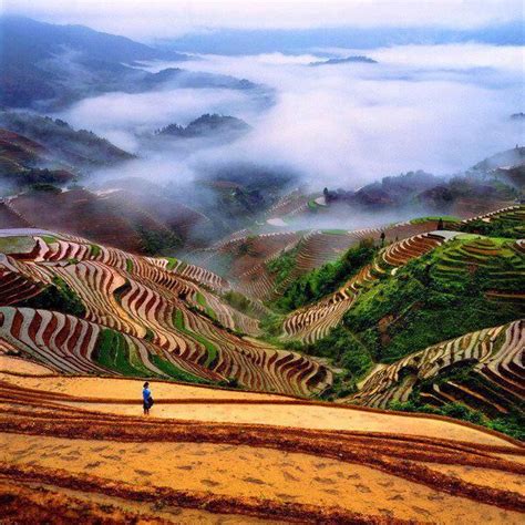 Rice Fields Guilin Beautiful Places On Earth Most