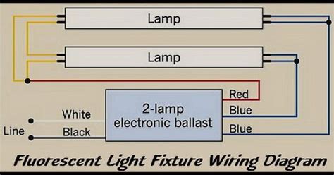 wiring diagram  double fluorescent tube light circuit