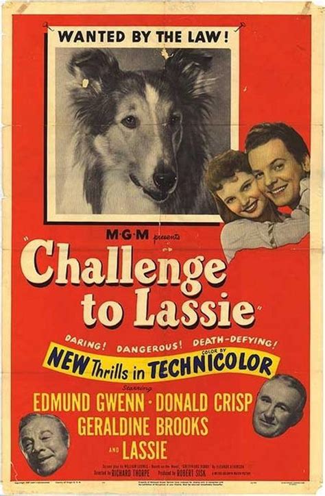 retroshd movies bycharizard victorias de lassie 1949 480p latino