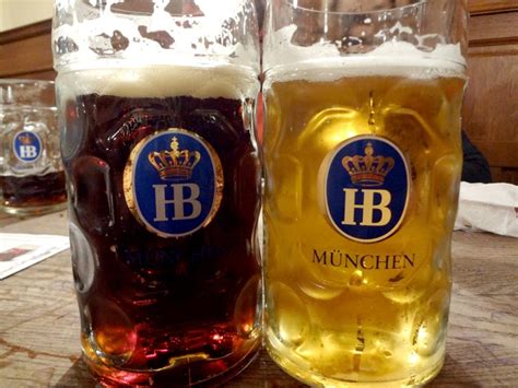 beer halls  munich  drink beer  bavarian   occasional
