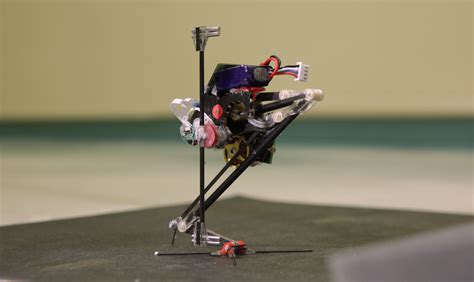 high jumping robot california academy  sciences