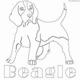 Beagle Coloring Pages Dog Printable Template Color Edge Getcolorings Print Getdrawings sketch template