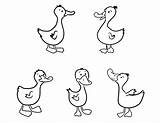 Ducks Little Duck Coloring Five Clipart Pages Kids Printable Print Color Para Colorear Patos Animal Worksheets Kindergarten sketch template