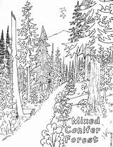 Forest Nature Coloring Pages Printable Kb 2010 sketch template