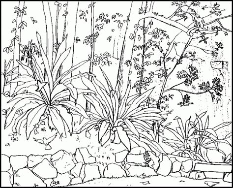 search  nature drawing  getdrawingscom