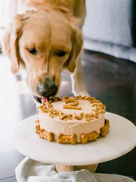 pumpkin dog cake recipe   give  blonde  kitchen
