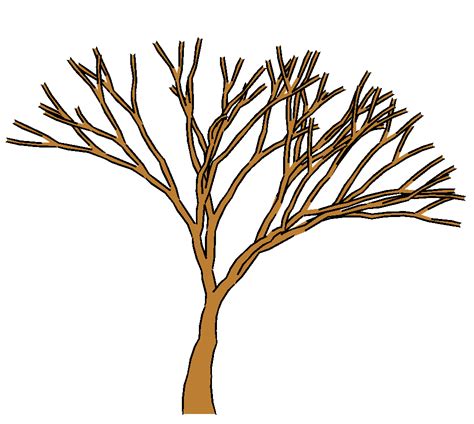 tree  leaves clipart