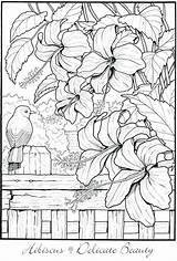 Coloring Pages Flower Adults Creative Haven Print Book Colouring Books Pattern Dover Adult Garden Flowers Printable Para Beautiful Publications Bird sketch template