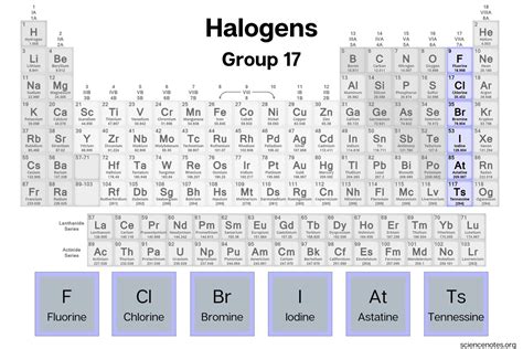 halogen elements list  facts