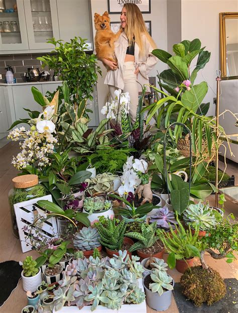 23 Best U Livinghumanbean Images On Pholder Houseplants Orchids And