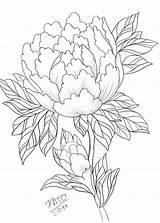 Peony Drawing Outline Line Japanese Drawings Flower Tattoo Rose Peonies Shannan Getdrawings Paintingvalley sketch template