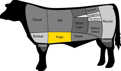 short ribs wikipedia