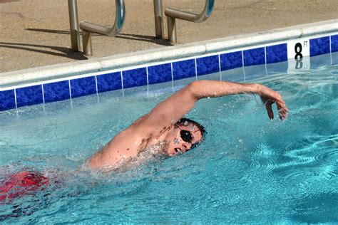 famous   freestyle swimming stroke references
