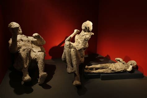 pompeii exhibition brings doomed town  life  archaeology news