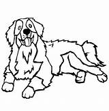 Dog Mountain Bernese Coloring Pages Berner Color Dogs Designlooter Line Sketchite Sketch Choose Board 612px 18kb sketch template