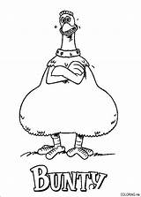 Coloring Pages Chicken Run sketch template
