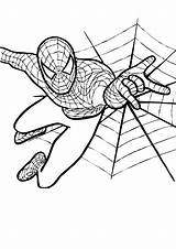 Coloring Spiderman Pages Spider Man Colouring Clipartmag Amazing sketch template