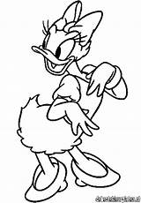 Coloring Duck Daisy Pages Mickey Mouse Disney Cartoon Popular Printable Characters Walt Visit sketch template